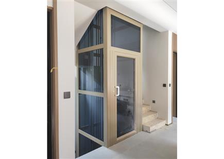 湖濱美院-別墅電梯